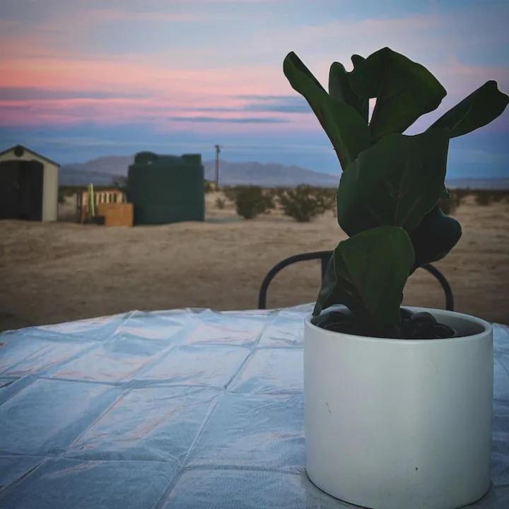 Serene Modern Home Backdoor With Great Wifi, Games, Movies, Patio Seating And Bbq Easy Access To North Joshua Tree National Park In 10 Minutes Twentynine Palms Ngoại thất bức ảnh